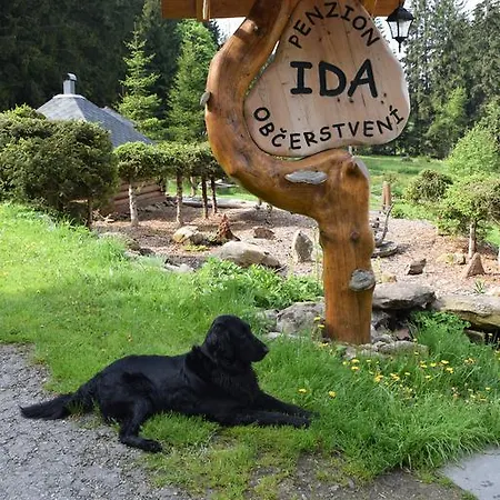 Ida Lenora